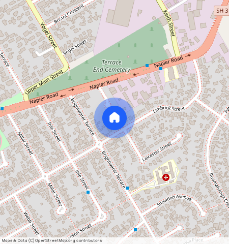 105a Limbrick Street, Terrace End, Palmerston North City