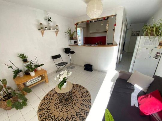 Location appartement 2 pièces 35.96 m² à Montpellier (34000) - Photo 1