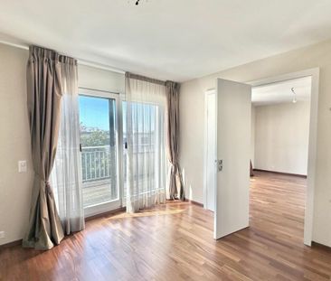 Beautiful apartment with garden in Champel - Photo 2