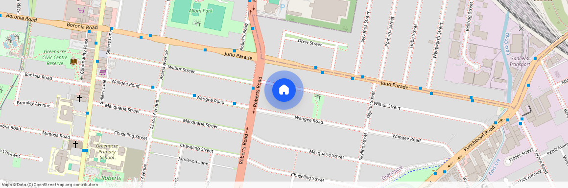 101 Wilbur Street, Greenacre NSW 2190