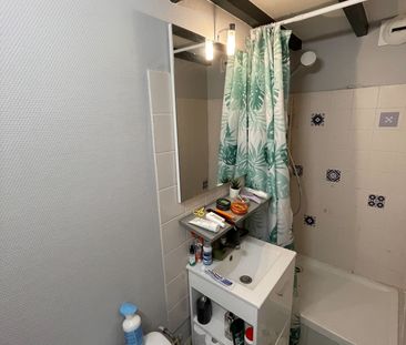 Location Appartement 1 pièce 18m² FONTAINEBLEAU 77300 - Photo 3