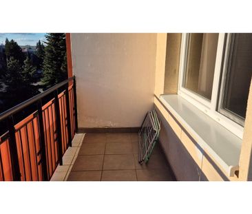 Mieszkanie dwupokojowe umeblowane Opole Wilsona - Photo 1