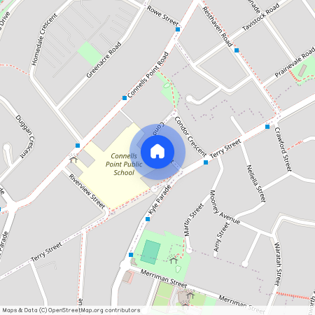 41 Condor Crescent, NSW 2221, Connells Point