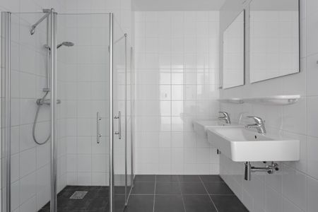 F Dietrich Kahlenbergstr 50C, 1087LL Amsterdam - Photo 3