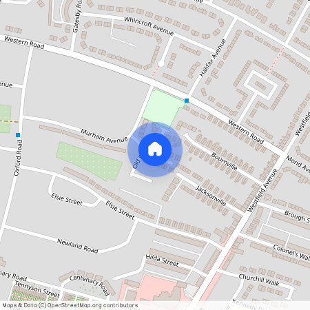 Old Rugby Park, Goole