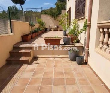 Chalet en alquiler en Son Servera - Photo 6