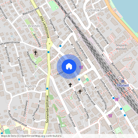 Alte Landstrasse 155, 8800 Thalwil