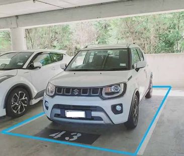 Modern 1-Bedroom Apartment in the Heart of Albany - Photo 4