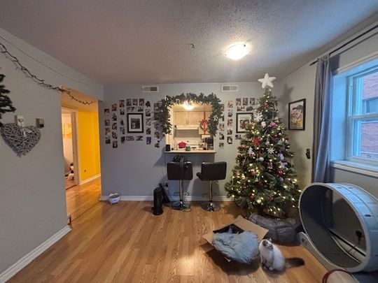 31 Florence Street - Photo 1