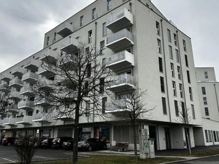 1220! Hübsche 1-Zimmer Wohnung mit Balkon nahe Badeteich Hirschstetten! - Foto 4