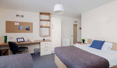 Large High Double Studio - Photo 5