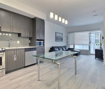Appartement à louer - Montréal (Ville-Marie) (Centre) - Photo 3