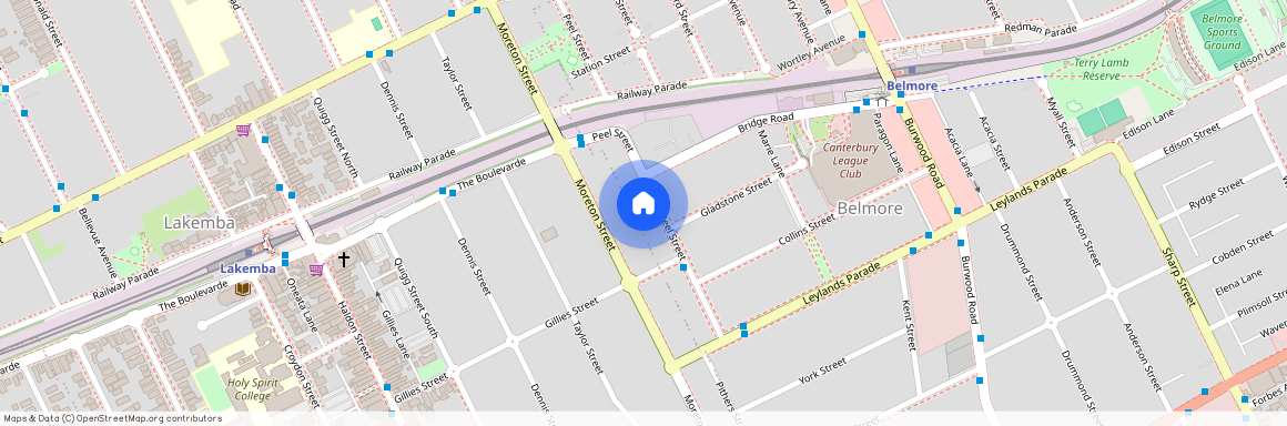 41 Peel Street, Belmore, NSW 2192