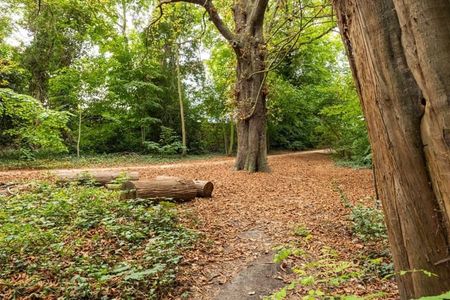 Appartement te huur - Photo 4