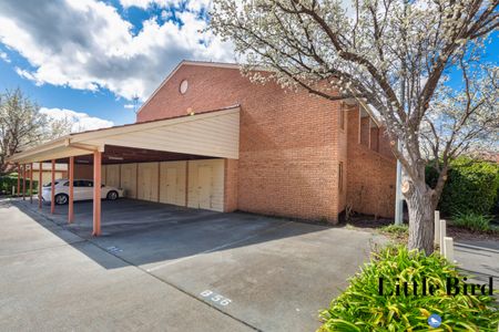 74b/12 Albermarle Place, Phillip ACT 2606 - Apartment For Rent | Domain - Photo 3