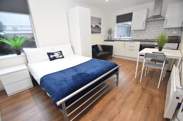 1 bed studio flat to rent in Cathays Terrace, Cathays, CF24 - Photo 1