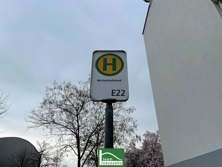 Das Beste aus Stadt und Natur! Wohnen im Herzen von Wiener Neustadt!! - Foto 4