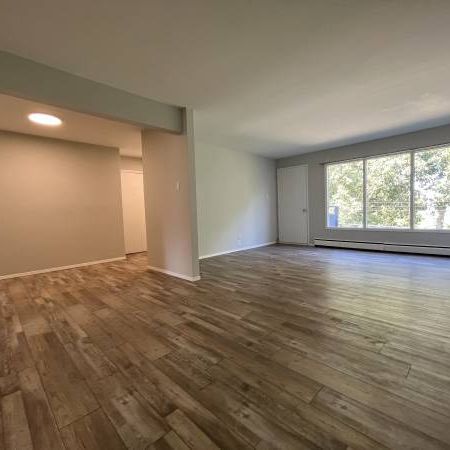 Spacious Newly Renovated 2 Bedroom Near Downtown - Photo 3