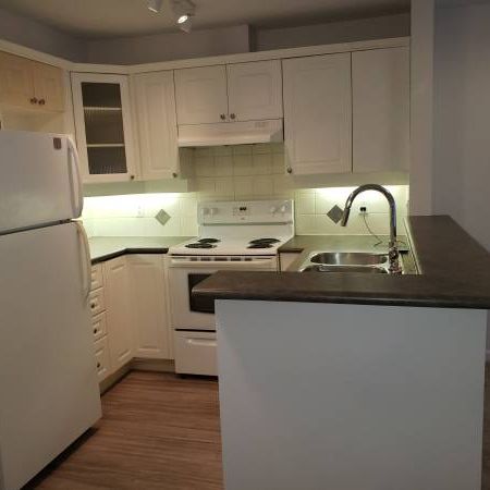 1 bed/1 bath apartment with covered balcony & 1 parking - Photo 4