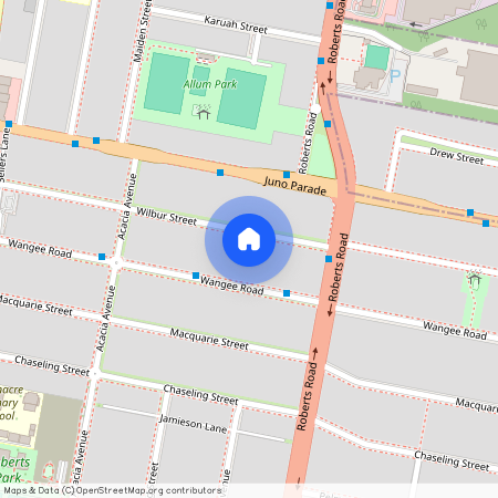 129 Wilbur Street, Greenacre