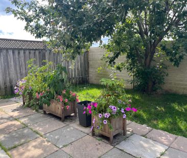 For Lease - 383 Jay Crescent, Orangeville, Ontario - Photo 1