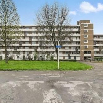 Kroesmeestersdreef, 6216 PK Maastricht, Nederland - Foto 4