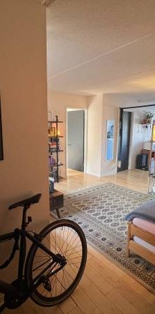 Furnished bright 4 1/2 in the heart of the Plateau. All included - Photo 1