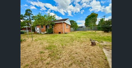 Comfortable family home in a convenient location - Photo 5