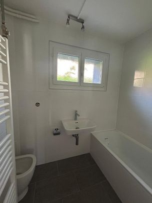 2 Zimmer, EG - Photo 1