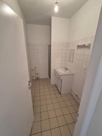 Location appartement 2 pièces 39.98 m² à Saint-Clair-du-Rhône (38370) - Photo 4