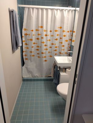 41/2-ROOM APARTMENT IN BERN - FELSENAU/TIEFENAU, FURNISHED, TEMPORARY - Foto 1