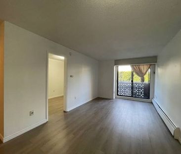 1 Bed 1 Bath - Apartment - Photo 4