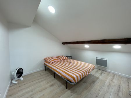 Location Appartement 1 pièce 22m² ANNECY 74000 - Photo 3