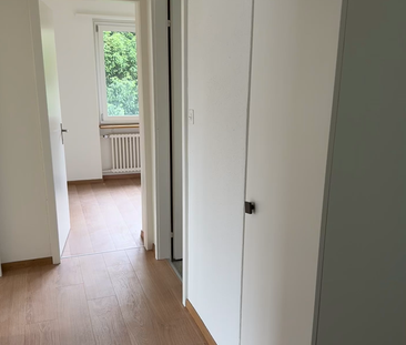Frisch sanierte 3.0-Zimmerwohnung im ruhigen Quartier zu mieten! - Photo 6