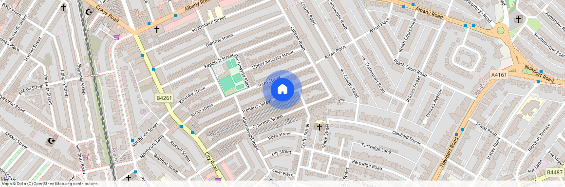 Treharris Street, CF24 3HP, Roath