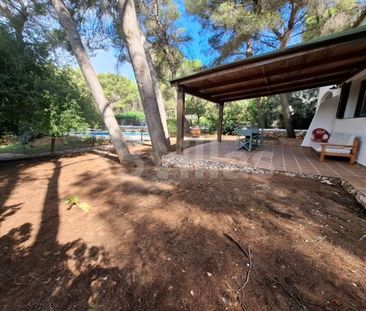 4 room luxury House for rent in Mercadal, Spain - Photo 6