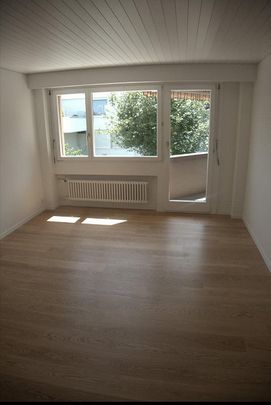 Grosszügige 5-Zimmer-Wohnung in Adliswil - Foto 1