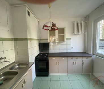 MIESZKANIE na WYNAJEM POLICE (437419) - Zdjęcie 5