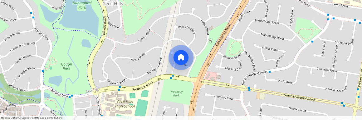 16 Gerald Street, NSW 2171, Cecil Hills