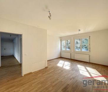 Spacieux appartement au Schönberg ! - Photo 1