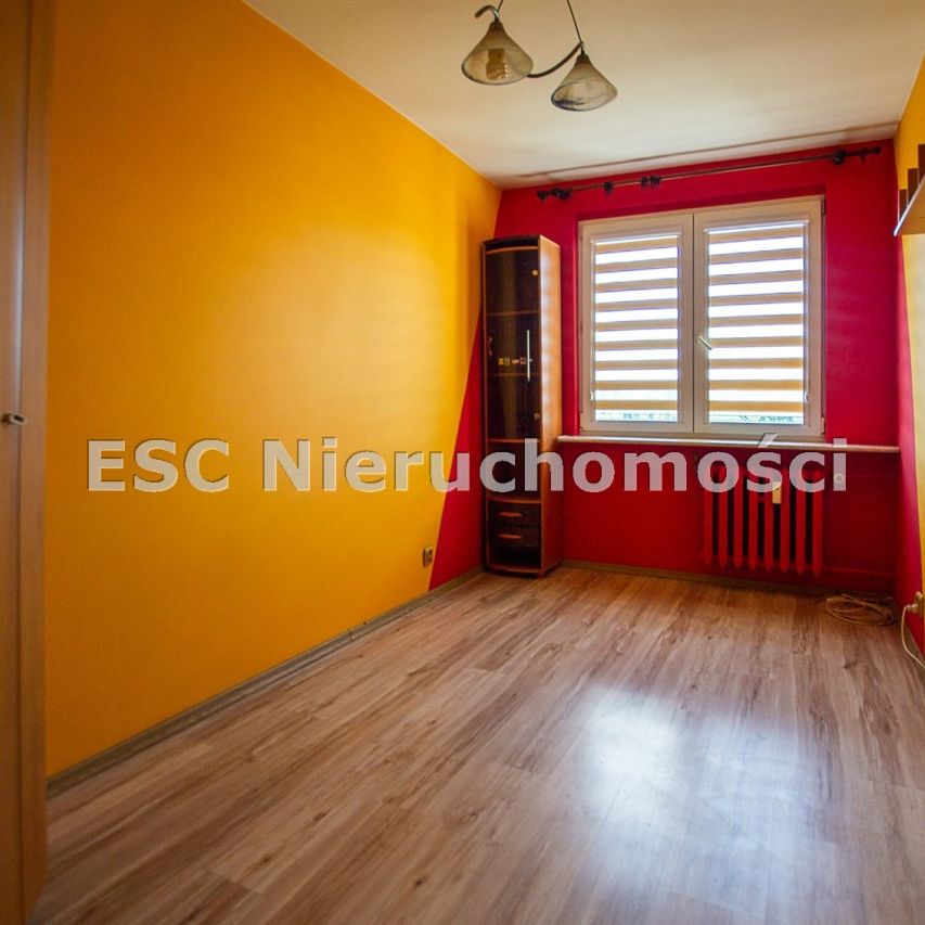 Piła, Zamość - Photo 1