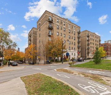406 Av. des Pins O., Montréal (Le Plateau-Mont-Royal), QC H2W - Photo 6