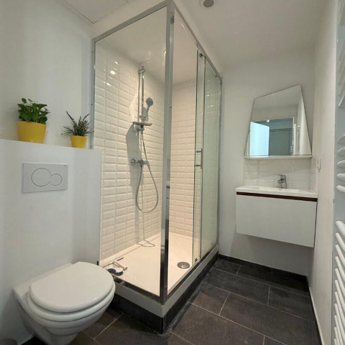 Appartement 1 pièce à Lille - Photo 2