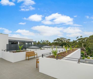 56/536 Mowbray Road, Lane Cove NSW 2066 - Apartment For Rent | Domain - Photo 5