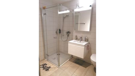 2½ Zimmer-Wohnung in Benglen (ZH), möbliert, auf Zeit - Foto 3