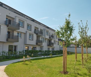 Erstbezug - Wohnen am Park, 1,5-Zimmer-Wohnung mit Dusche in 4600 W... - Photo 4