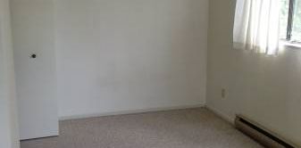 Bachelor Apartment for Rent Near Downtown Victoria - Photo 2