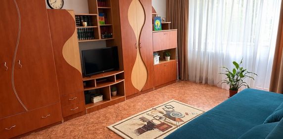Piata sudului nitu vasile cricovul dulce - Photo 2