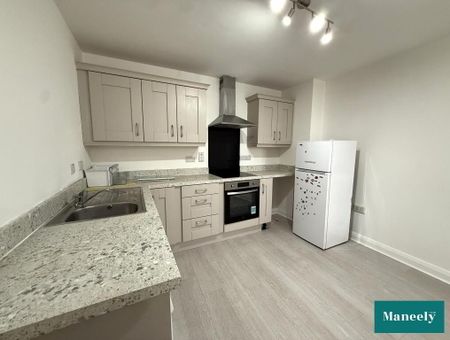 158e Moore Street, Aughnacloy, BT69 6AA - Photo 5