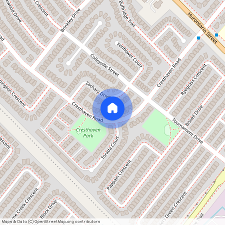 163 Cresthaven Road Unit# Basement, Brampton